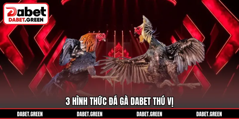 3 hình thức đá gà DABET thú vị