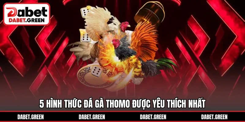 5 hình thức đá gà Thomo được yêu thích nhất