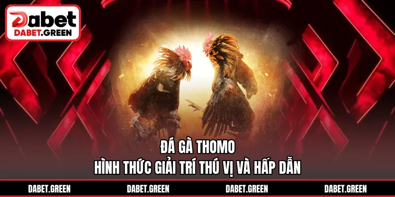 Đá Gà Thomo – Hình Thức Giải Trí Thú Vị Và Hấp Dẫn