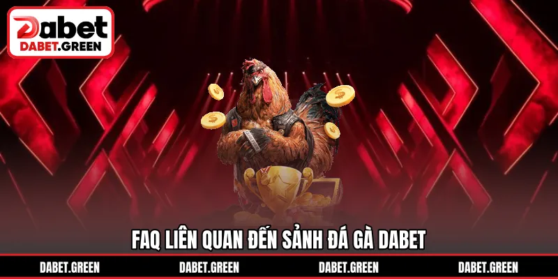 FAQ liên quan đến sảnh đá gà DABET