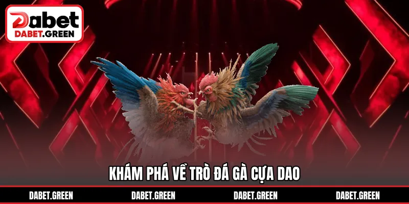Khám phá về trò đá gà cựa dao