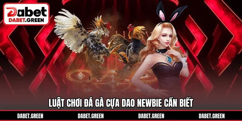 Luật chơi đá gà cựa dao newbie cần biết
