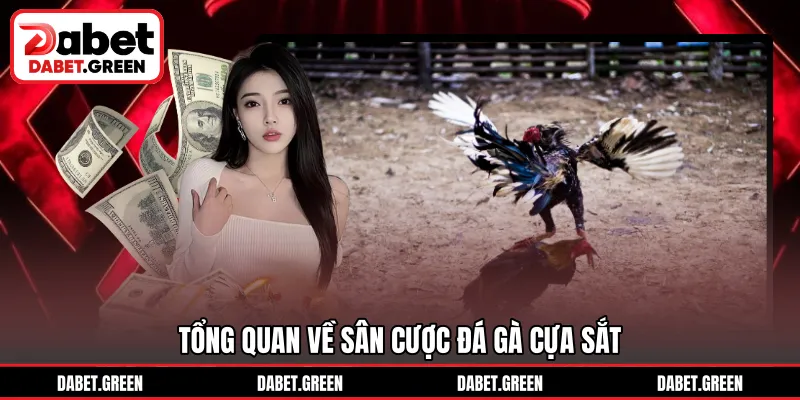 Tổng quan về sân cược đá gà cựa sắt